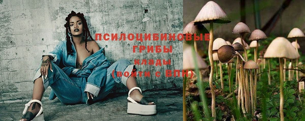 ECSTASY Мегион