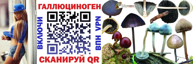 купить сайты Буй shop формула Галлюциногенные грибы Psilocybine cubensis